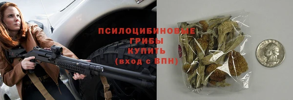 сатива Алексеевка