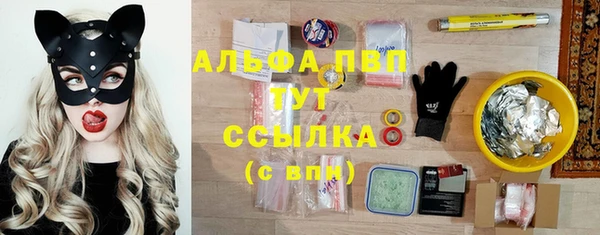 сатива Алексеевка