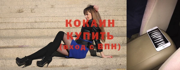 сатива Алексеевка