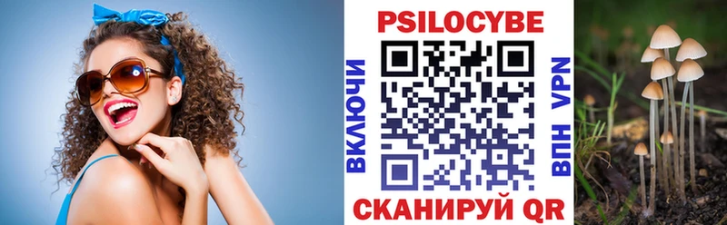 Псилоцибиновые грибы Psilocybine cubensis  Томск 